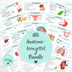 Paquete XXL de hojas de aprendizaje de anatomía: Fisiología, Medicina, Enfermería, OTA, MFA, Tarjetas de aprendizaje de enfermería (TMS)