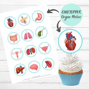 12 Cake Topper Organs Anatomy Medicine Heart Liver Intestine OTA OP Care Doctor Nurse Training Gift to Print Digital