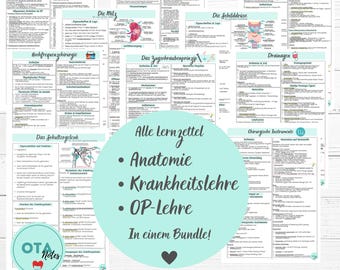 OTA Komplett-Bundle | Anatomie, Krankheitslehre & OP-Lehre | Lernzettel + Karteikarten | Ota Ausbildung Lernen + Prüfungsvorbereitung PDF