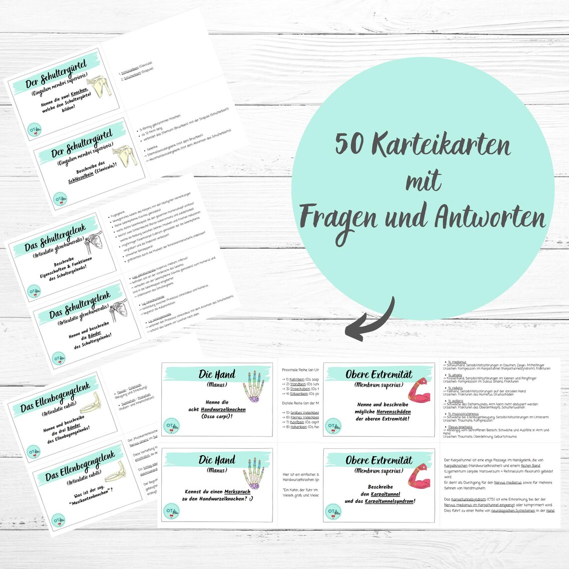 UPPER EXTREMITY Anatomy Study Sheets + Flashcards - Shoulder Joint ...