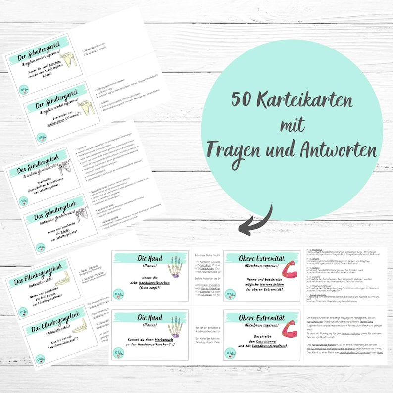 May include: A set of 50 flashcards with questions and answers about the human body. The flashcards are printed on white paper with a light blue border and feature illustrations of bones and muscles. The text on the flashcards is in German.