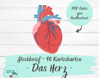 DAS HERZ Lernzettel + Karteikarten - Pflege Anatomie Physiologie Medizin Pflegefachfrau OTA Mfa Lernkarten digital pdf