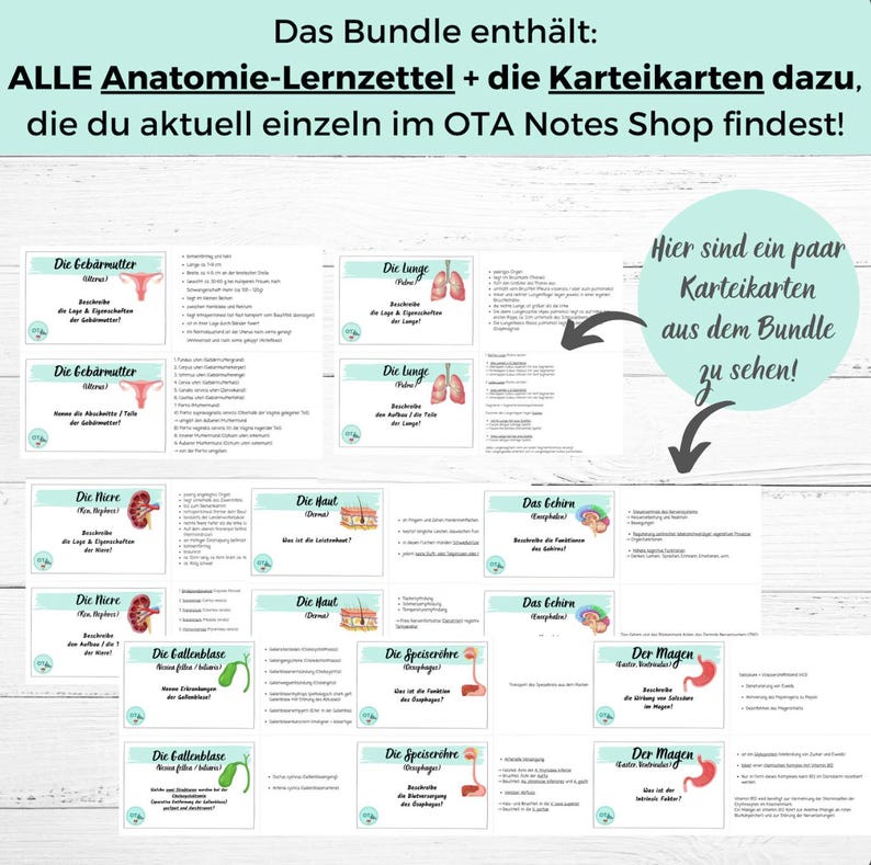 OTA Complete Bundle | Anatomy, Pathology & Surgical Techniques | Study ...