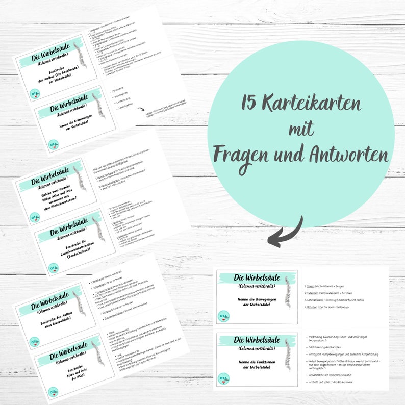 THE SPINE Learning Sheets Flashcards Care Anatomy Physiology Medicine