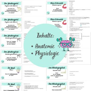 May include: A set of colourful flashcards with illustrations and text in German. The flashcards cover the anatomy and physiology of the shoulder, elbow, and hand. The title of the flashcards is "Inhalte: Anatomie &bull; Physiologie".