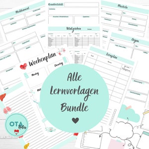 ALLE LERNVORLAGEN Bundle - Lernzettel Pflege OTA Mfa Anatomie Gelenke Knochen Organe op Physiologie Medizin Lernkarten