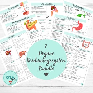Organi Apparato Digerente Anatomia Foglio di Apprendimento Pacchetto - Formazione OTA Infermieristica Medicina Formazione Infermieristica Mfa Schede di Apprendimento Struttura e Funzione
