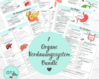 Organs Digestive System Learning Sheet Bundle - Nursing Anatomy Physiology Medicine Nursing Training Ota Mfa Flashcards digital pdf German
