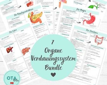 Organs Digestive System Anatomy Learning Sheet Bundle - Nursing OTA Training Medicine Nursing Training Mfa Learning Cards Structure and Function