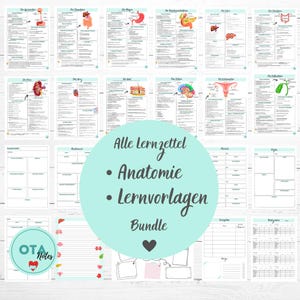 XXL Anatomy & Templates Study Notes Bundle – Physiology Medicine Nursing Training OTA Mfa Flashcards tms