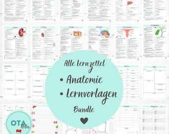 XXL Anatomy & Templates Study Notes Bundle – Physiology Medicine Nursing Training OTA Mfa Flashcards tms