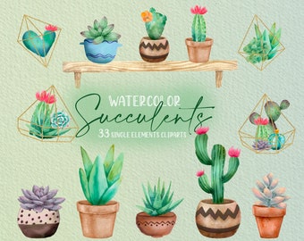 Watercolor Succulents Clipart, Cactus Plant Pot Elements, Tropical Cacti Clip Art, Desert Succulents PNG, Floral, Boho Home Decor Clipart