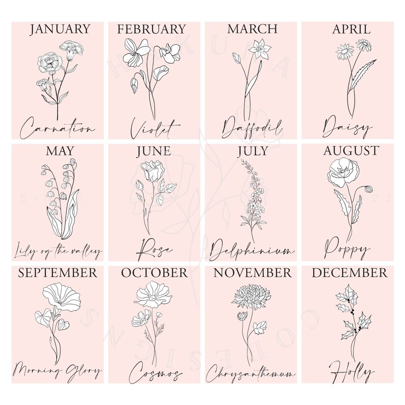 May include: A chart featuring a flower illustration for each month of the year. The flowers are drawn in black and white on a pink background. The months are listed in a column on the left side of the chart, and the flower names are listed below each illustration.