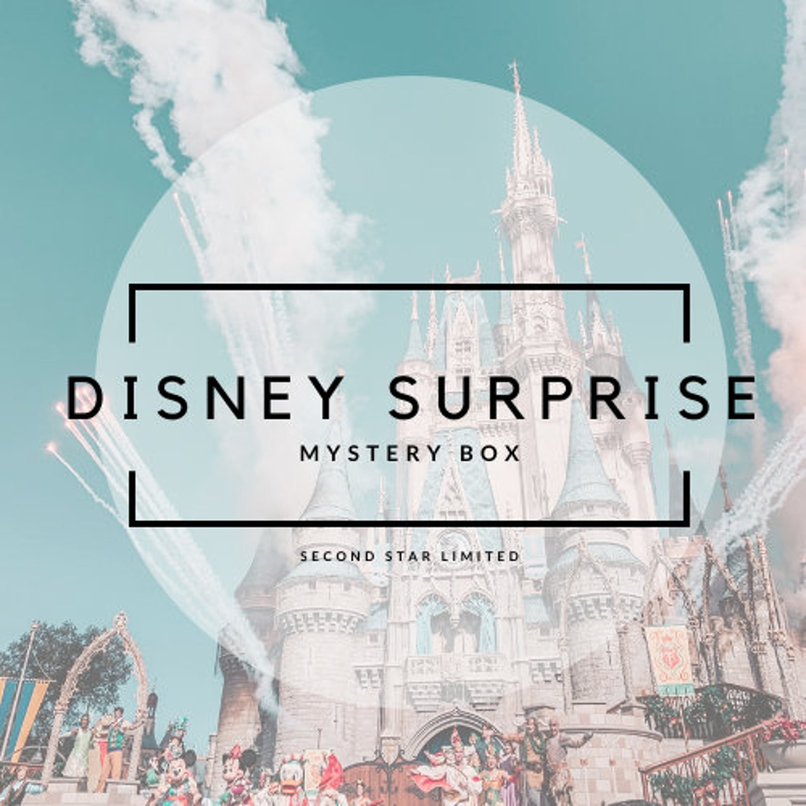 DISNEY SURPRISE BOX Disney Mystery Box Disney Blind Box Etsy