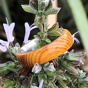 Lebanon Cedar Ring