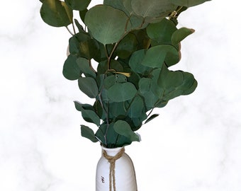 Preserved Silver Dollar Eucalyptus Bush--Preserved flowers-Eucalyptus Preserved-Wedding-Eucalyptus Dried- Silver Dollar Eucalyptus