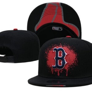 Disneyland / Boston Red Sox Mashup Hat 
