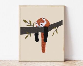 Red Panda Drawing Etsy