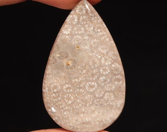 Beautiful Top Quality 100% Natural Fossil Coral Pear Shape Cabochon Loose Gemstone For Making Jewelry  49.80 Ct 43X26X6 MM AS-694