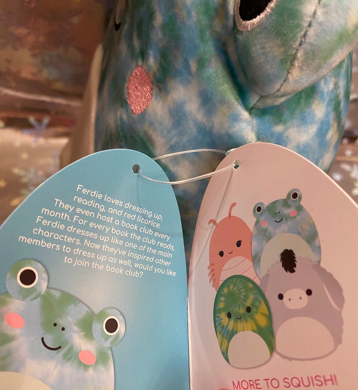 8 Ferdie the Tiedye Frog Squishmallow Etsy