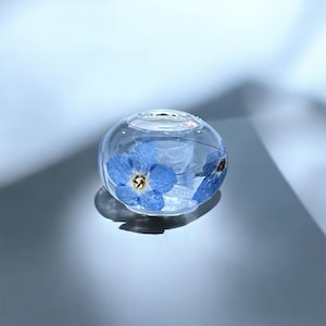 Op de afbeelding: Een heldere glazen bol met twee geperste blauwe vergeet-mij-nietjes.