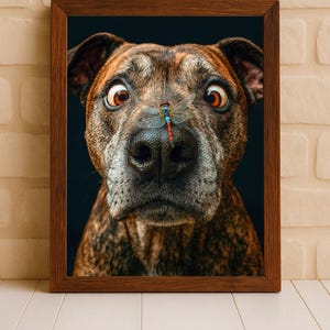 Puede incluir: Una impresión enmarcada que presenta un primer plano de la cara de un perro con una libélula posada en su nariz. El perro tiene pelaje marrón y negro, con ojos grandes y sorprendidos. La libélula tiene marcas azules, rojas y amarillas. El marco es de color marrón oscuro.