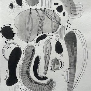 May include: An abstract black and white ink drawing with a variety of organic shapes. The artwork includes a large, amorphous grey shape with linear details, along with smaller, dotted and curved elements. The style is reminiscent of botanical or microscopic studies.