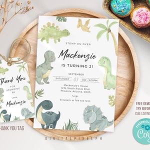 Dinosaur Birthday Party Invitation Template, Dinosaur  Birthday Invitation, Dinosaur  thank you tag, Printable, Instant download, DPPH