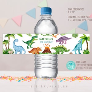 Editable Dinosaur Water Bottle Label, Dinosaur Label, Dinosaur Water Bottle Label, Dinosaur bottle Label, DPH
