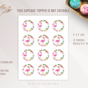 Flamingo Birthday Cupcake Toppers, Flamingo Cupcake Toppers, Flamingo ...