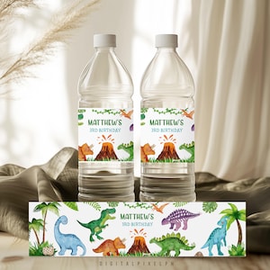 Étiquette de bouteille d'eau anniversaire dinosaure, modèle modifiable (téléchargement numérique)