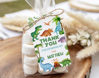 Puede incluir: Una bolsa transparente llena de malvaviscos blancos, atada con cordel y una etiqueta rectangular con dinosaurios en acuarela, palmeras, un volcán y el texto THANK YOU FOR STOMPING BY! Love. MATTHEW.
