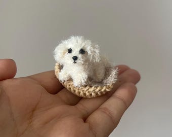 Dollhouse miniature dog maltese maltipoo puppy 1 inch realistic pet replica Blythe bgd Qbaby doll companion 1 to 12 collectible figurine