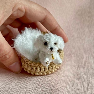 Miniature realistic maltese dog ooak tiny white puppy 1 to 6 scale Blythe friend dollhouse miniatures collectible toy image 2