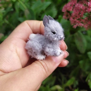 May include: A small, gray, fluffy bunny rabbit with white feet and a white patch on its back. The bunny is being held in a person's hand.