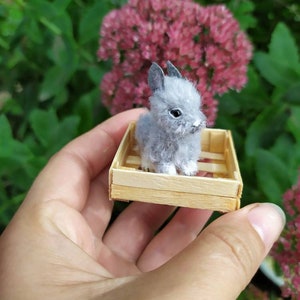 May include: A small gray bunny rabbit sitting in a wooden crate. The crate is being held in a person's hand.