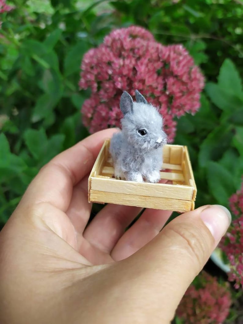 May include: A small gray bunny rabbit sitting in a wooden crate. The crate is being held in a person's hand.