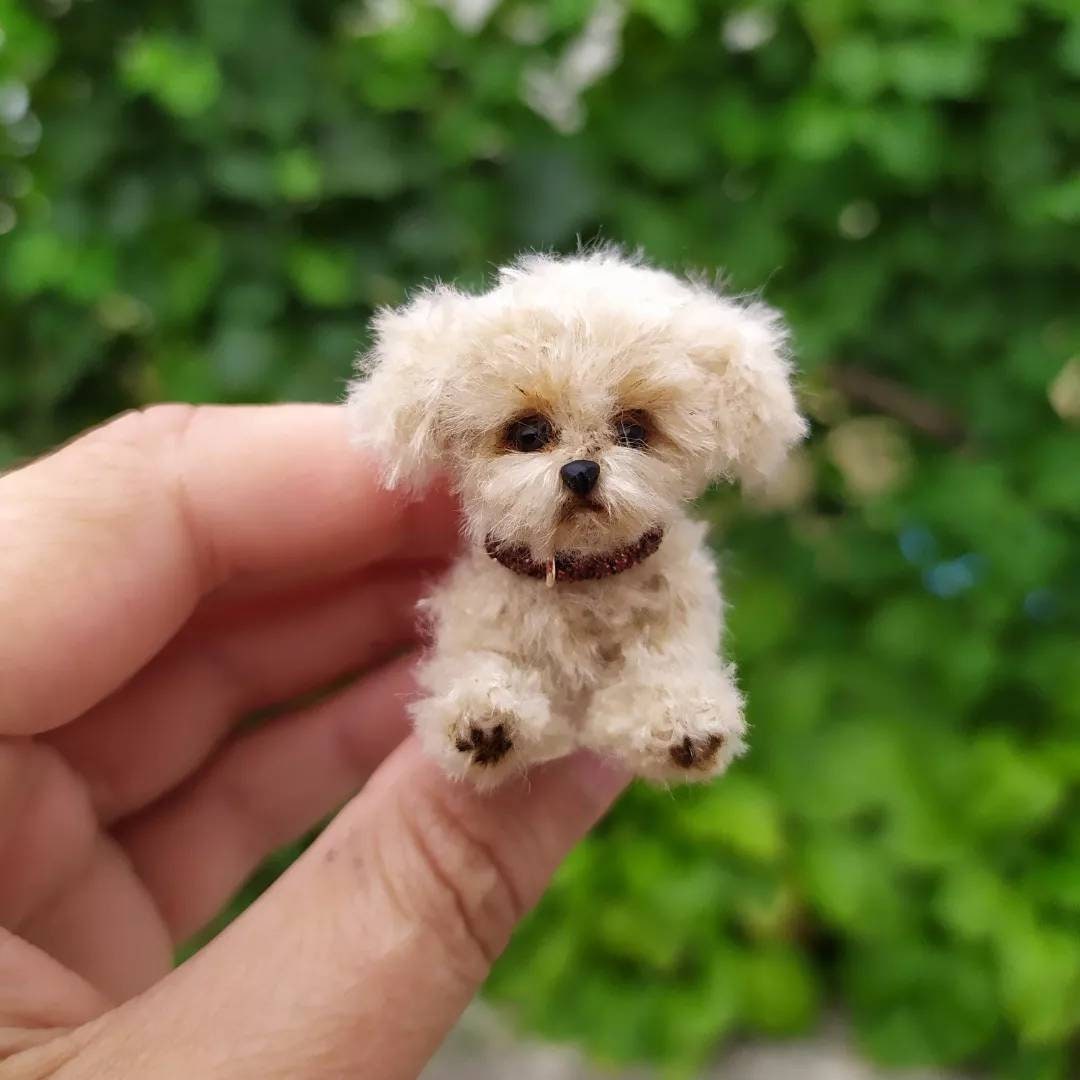 Miniature Realistic Maltese Dog Minitoy Ooak Puppy Pet Friend for Doll  Custom Dog Figurine Dollhouse Miniatures Handmade Ukrainian Artist -   Denmark