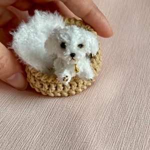 Miniature realistic maltese dog ooak tiny white puppy 1 to 6 scale Blythe friend dollhouse miniatures collectible toy image 3