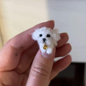 May include: A miniature white plush dog with black eyes and a gold-colored collar. The small dog is held in a person's hand. The dog's fur is fluffy and soft-looking. The collar has a small, round charm.