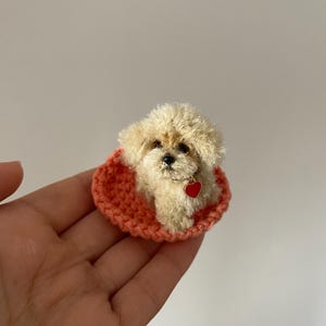 Könnte beinhalten: Ein kleiner, gehäkelter Hund mit einem roten Herz-Anhänger am Halsband, der in einem gehäkelten, korallenfarbenen Bett sitzt.