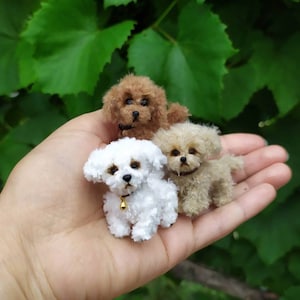 Miniature realistic dog set maltese maltipoo poodle puppies ooak unique tiny toys 1/6 dog set mini doll pet friend dollhouse miniatures