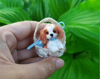 Puede incluir: Un cachorro miniatura de Cavalier King Charles Spaniel, con pelaje marrón y blanco, está sentado en una pequeña cesta tejida. El cachorro tiene una cinta azul alrededor del cuello. La cesta se sostiene contra un fondo de follaje verde.