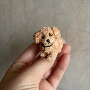 Miniatur Maltipoo Hund gehäkelt Kuscheltier Mini Kuscheltier Ooak winziger Welpe Blythe Puppe Haustier Freund Puppenhaus Dekor 1 bis 12 Maßstab Erinnerungsgeschenk
