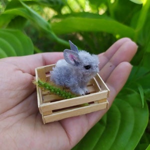 May include: A small gray bunny rabbit sits in a miniature wooden crate with green grass. The bunny is sitting on a hand.