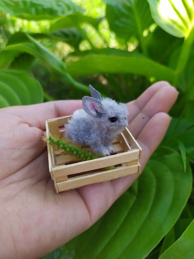 May include: A small gray bunny rabbit sits in a miniature wooden crate with green grass. The bunny is sitting on a hand.