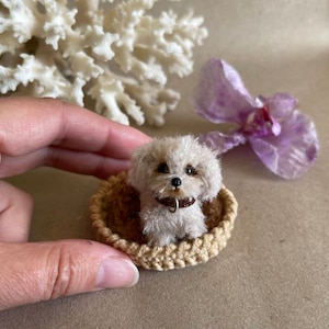 Miniature maltese dog maltipoo puppy pet portrait dog sculpture dog replica Blythe doll friend dollhouse miniature handmade ukrainian artist