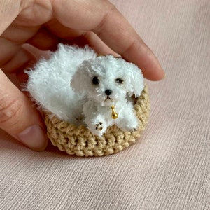Miniature realistic maltese dog ooak tiny white puppy 1 to 6 scale Blythe friend dollhouse miniatures collectible toy image 1