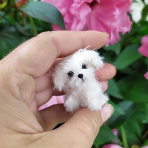 Miniature maltese dog mini toy ooak dog replica pet for doll blythe friend dollhouse miniatures handmade small plush ukrainian artist