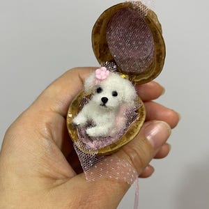Op de afbeelding: Een miniatuur wit hondje met een roze bloem op zijn hoofd rust in een walnootschil. De schil is gevoerd met roze gaas en een roze lint. De hond heeft zwarte ogen en een kleine, ronde neus.